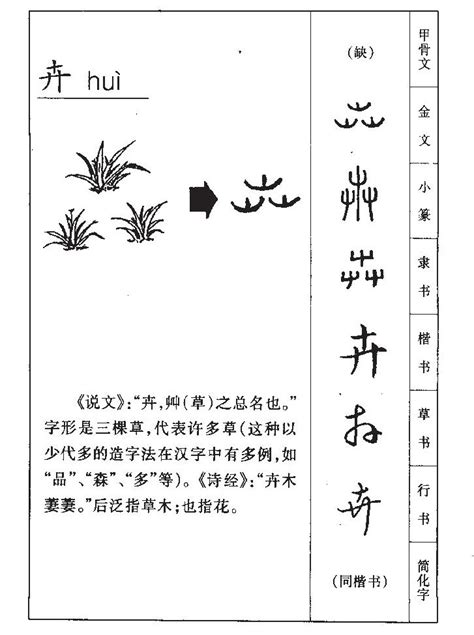 卉名字意思|卉字取名的寓意